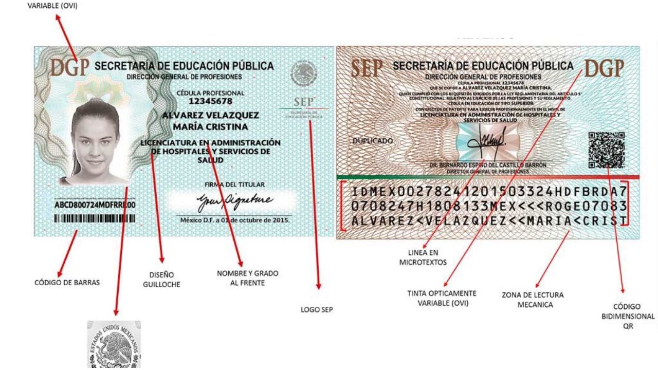 Cédula Profesional Mexicana: Consulta, Trámite y Requisitos - Platinum ...