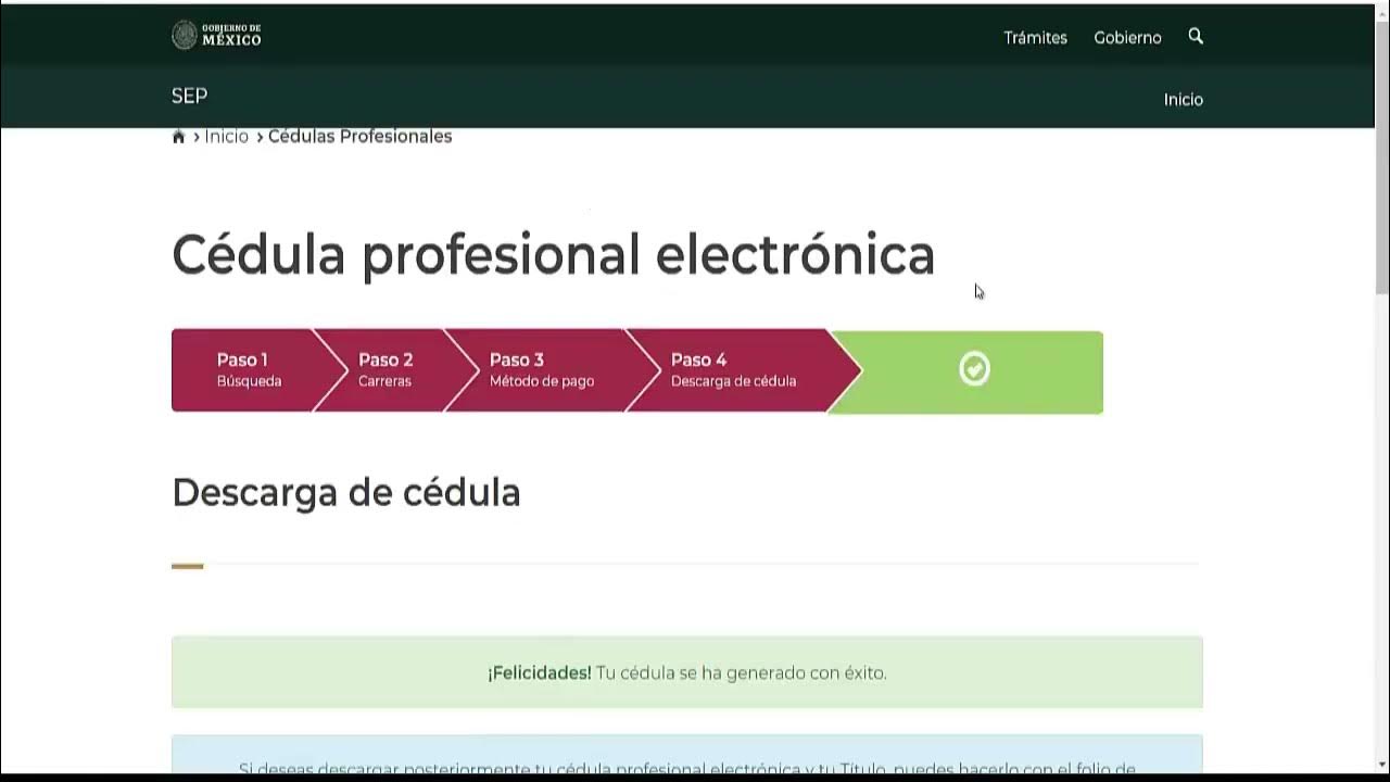 Cédula Profesional Mexicana: Consulta, Trámite y Requisitos - Platinum ...